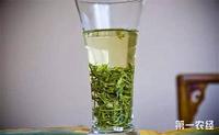 感冒能喝绿茶吗？喝绿茶的禁忌