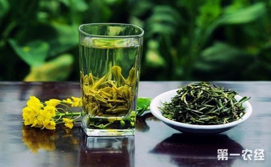 绿茶在保存过程中需要注意的要点