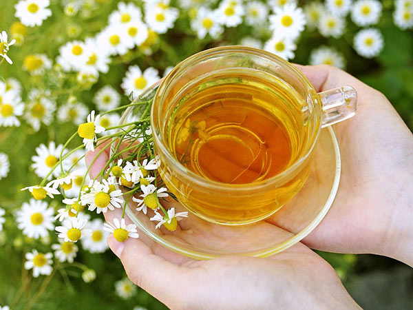 绿茶粉的功效与作用对人体健康更有利？
