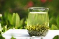 怎么区别绿茶的好坏种类