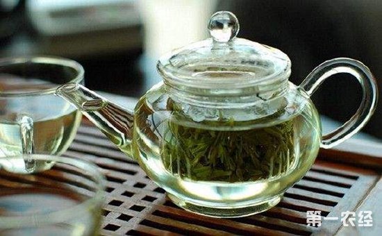 绿茶的功效与作用有哪些？喝绿茶有哪些禁忌？