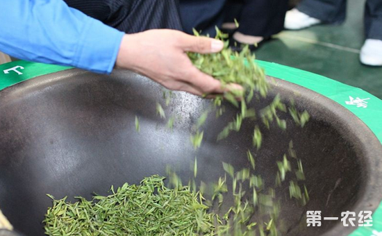 屯溪绿茶如何制成的呢？屯溪绿茶的制作工艺