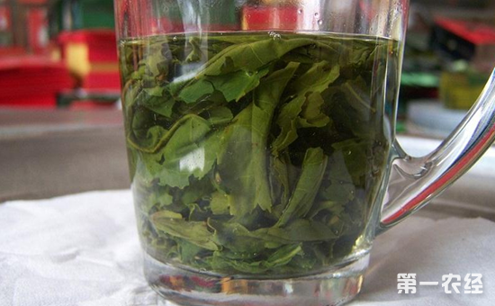喝屯溪绿茶有哪些好处？屯溪绿茶的功效与作用