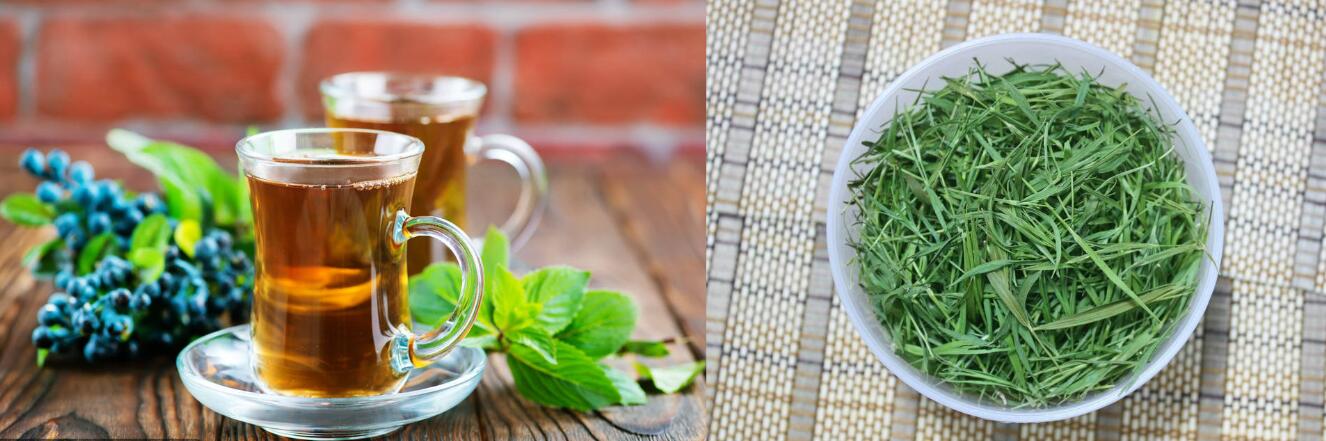 绿茶一般可以放多久过期绿茶的妙用