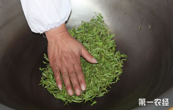 宝顶绿茶如何采制？宝顶绿茶的采摘与制作