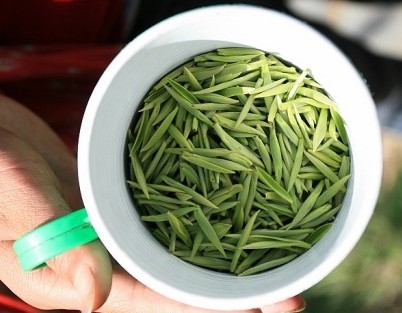 常喝绿茶的保健和防病功效分析