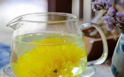 绿茶和菊花茶功效一样吗？哪个更好？你最喜欢哪个？