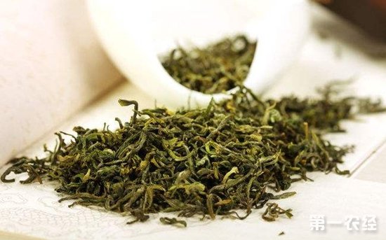绿茶怎么保存？绿茶保存有哪些禁忌？