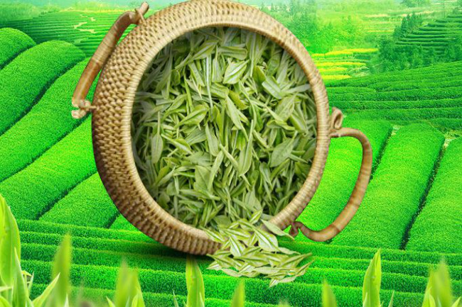 我国优质绿茶有哪些呢