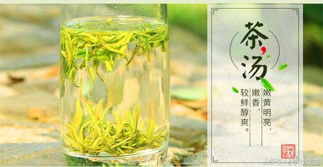 绿茶产地（3）——安徽名优绿茶