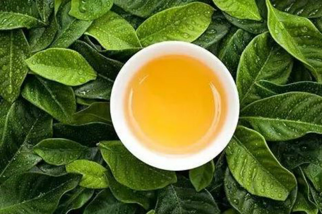 夏天喝绿茶的好处都有哪些你知道吗