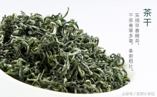 绿茶产地（4）——江西名优绿茶
