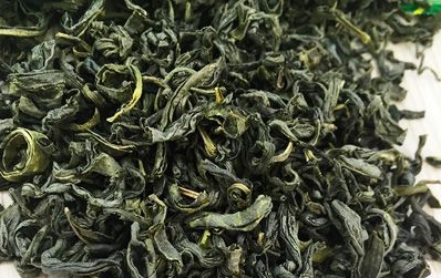 炒青、烘青、蒸青和晒青绿茶有什么样的区别特点？它的10大炒青、烘青、蒸青和晒青绿茶有什么样的区别特点？它的10大功效与保健作用具体怎样？