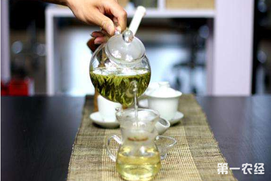天山绿茶怎么喝？天山绿茶的冲泡方法