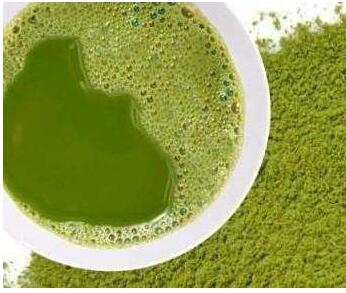 绿茶粉和抹茶粉的区别,绿茶粉什么时间喝,绿茶粉饮料副作用