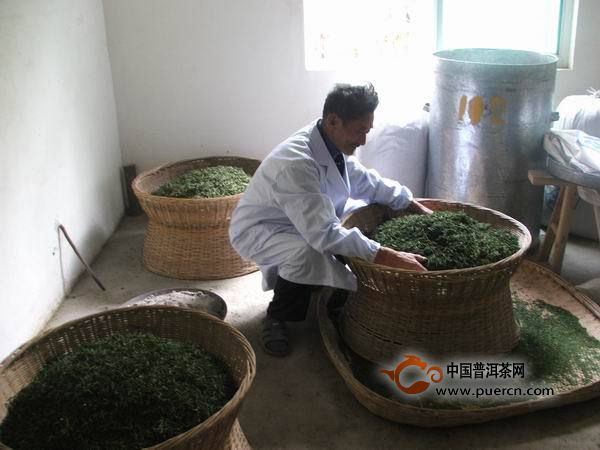 详解烘青绿茶的制作工艺