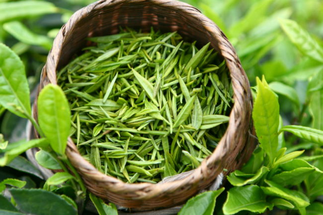 绿茶都有哪些品种绿茶都包括了哪些茶