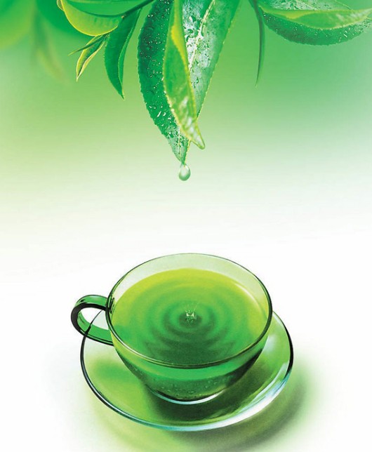 小K教大家区分绿茶好坏的方法