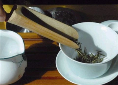 绿茶包括什么茶叶？