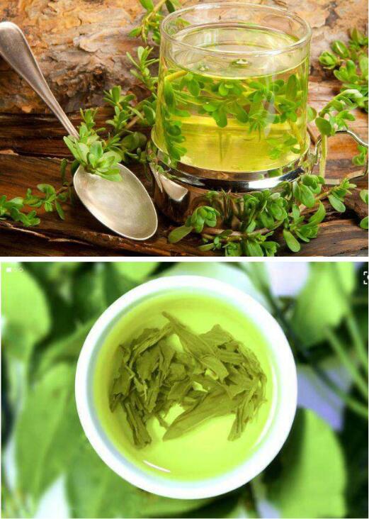 绿茶什么季节喝最好绿茶的功效