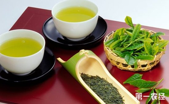 怎么喝绿茶才能达到茶叶的最大功效