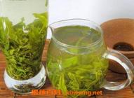 绿茶的功效与作用绿茶的食用禁忌