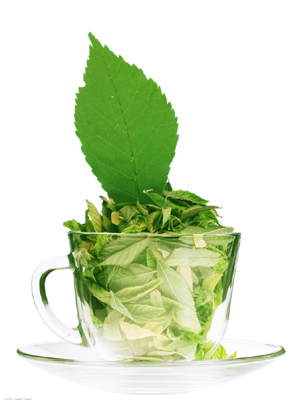 绿茶有什么功效喝绿茶有哪些好处