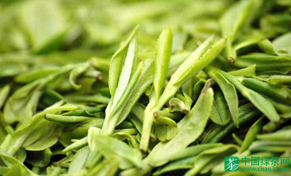全面解读中国十大名茶之首的龙井绿茶