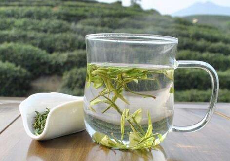 白茶是属于什么茶,白茶的泡法怎么泡好喝,白茶和绿茶的区别