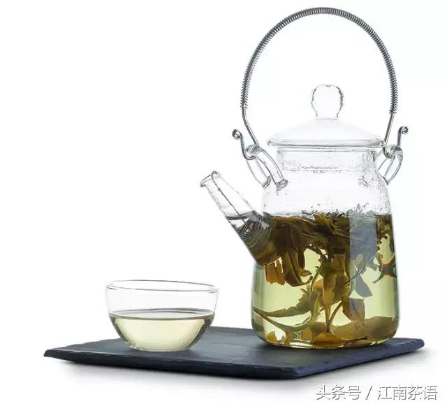 茶丨绿茶的茶途