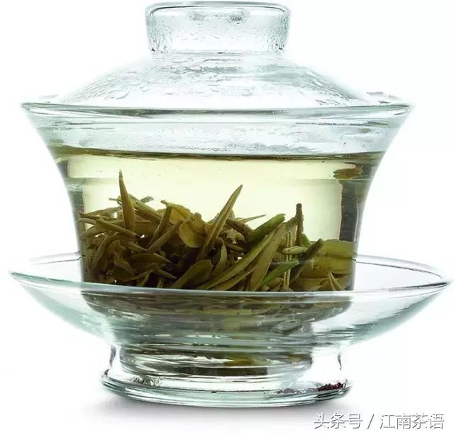 茶丨绿茶的茶途