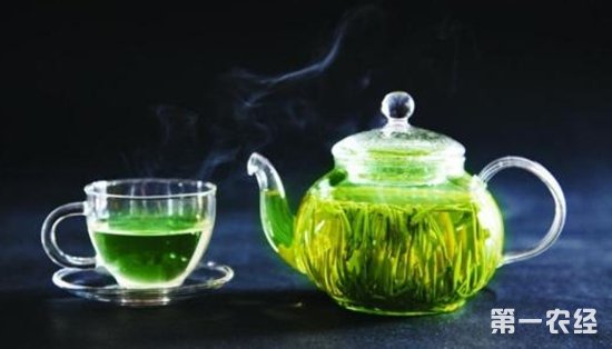 喝绿茶吃甘蓝或可助医治乳腺癌