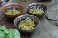 最为古老的一种制茶方法：蒸青绿茶法