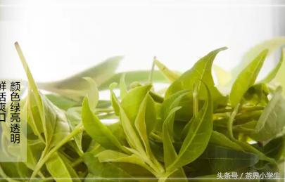 绿茶产地（14）——福建名优绿茶