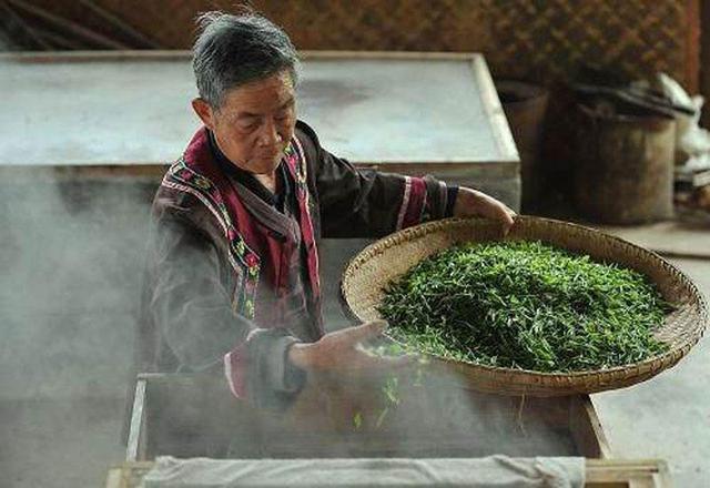 茶知识第一期：占了半壁江山的绿茶如何进行统一分类？必