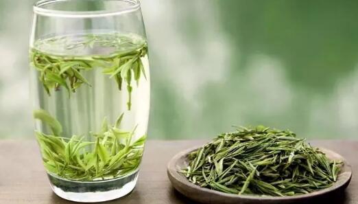 春茶季绿茶上市，要如何冲泡绿茶