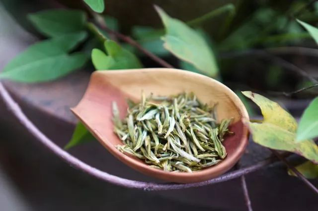 绿茶种类那么多，如何才能选到优质绿茶