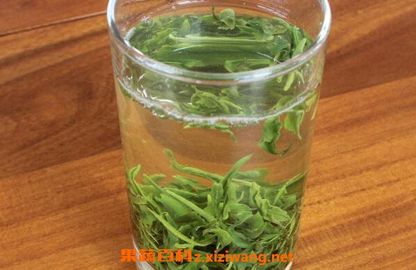 喝绿茶有什么好处喝绿茶的好处与功效