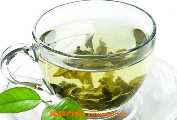 喝绿茶有什么好处喝绿茶的好处与功效