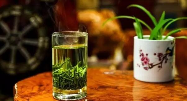 绿茶的起源发展历史