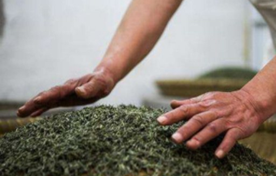 水仙茸勾茶的制作工艺水仙茸勾是属于绿茶吗