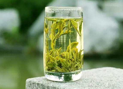 好的绿茶有哪些你喝过哪些绿茶？