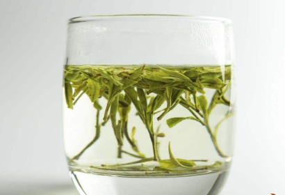 绿茶的功效与作用禁忌居然还有人没有喝过绿茶？