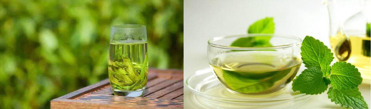 綠茶和菊花能一起泡嗎？喝綠茶有什么作用