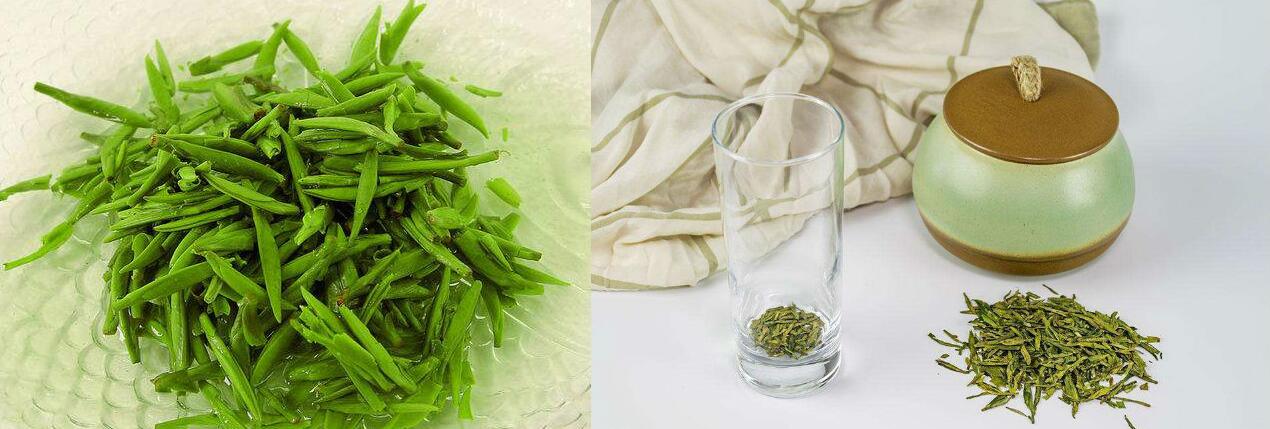 綠茶和菊花能一起泡嗎？喝綠茶有什么作用