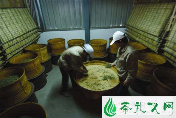 绿茶制作工艺过程