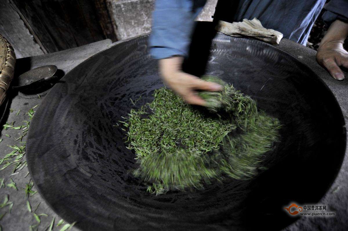 仙人掌茶的加工制作工序