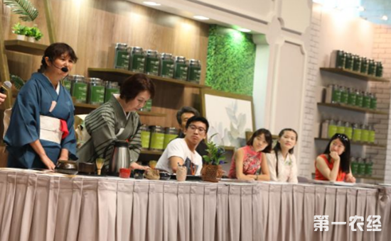 2017香港国际茶展：上百家品牌企业齐聚盛会在港品牌影响力得到提升