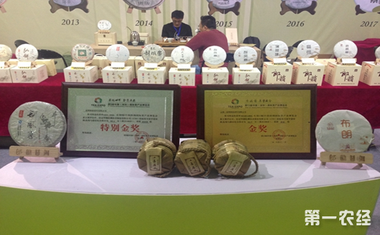 山东青岛：秋季茶博会隆重开幕逾300品牌茶企参展