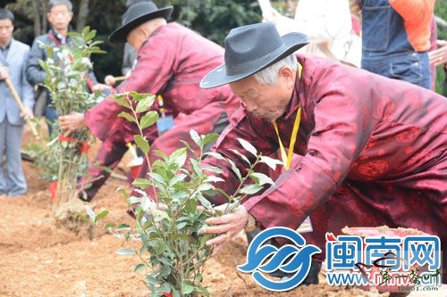 福建安溪举办茶文化旅游节打造“旅游龙涓”品牌